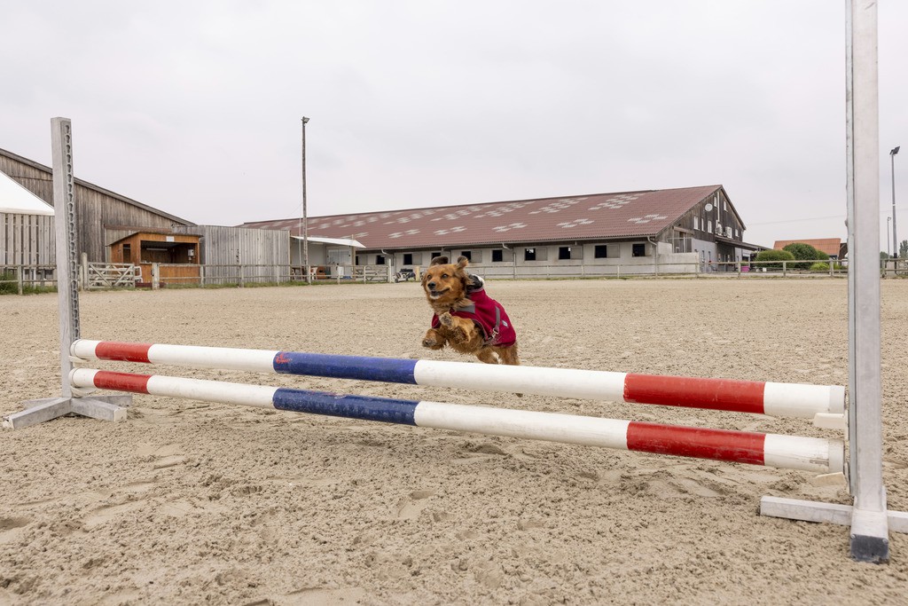 Cobertor polar Diego & Louna Teddy Preto