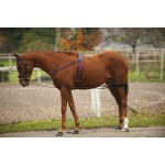 Enrêno de roldanas Norton