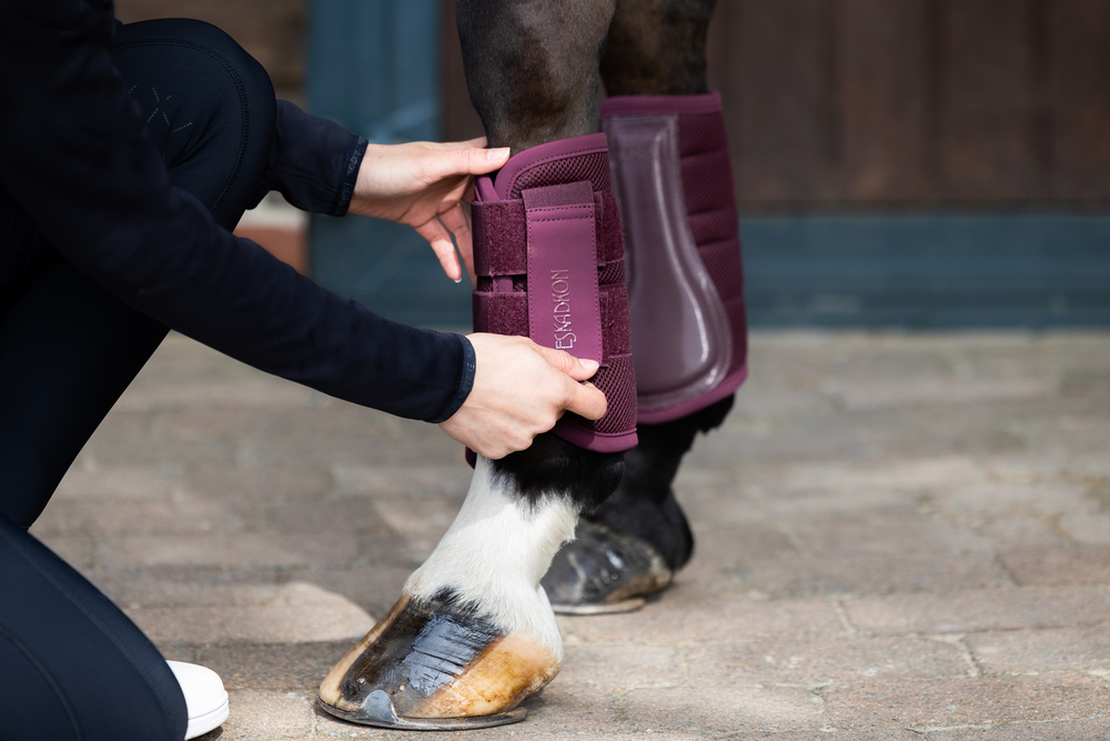 Guêtres mesh Eskadron Amora Bord&amp;amp;amp;amp;amp;ocirc;