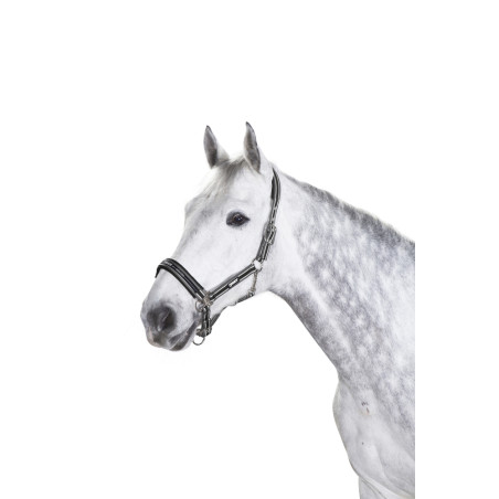 Cabezada Eskadron com fivela