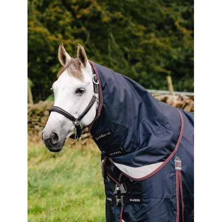 Cobre-pescoço de exterior LeMieux Kudos 100g