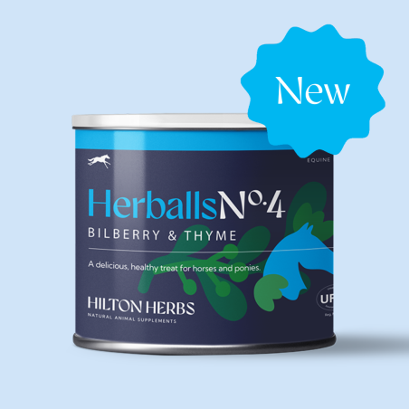 Herballs N° 4 Mirtilo & Tomilho Hilton Herbs