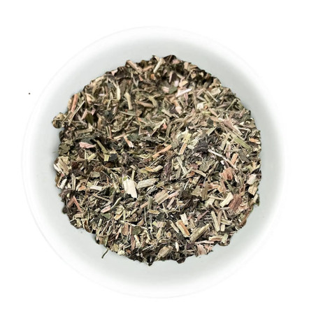 Urtiga Planta Hilton Herbs