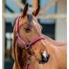 Cabresto e guia Amigo Horseware - Amora