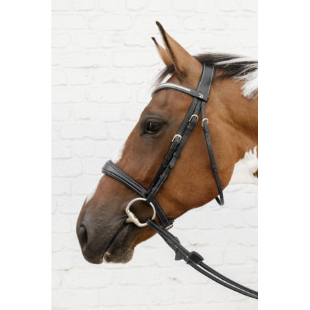 Muserola Anatômica sem Barbela Coleção Dy'on