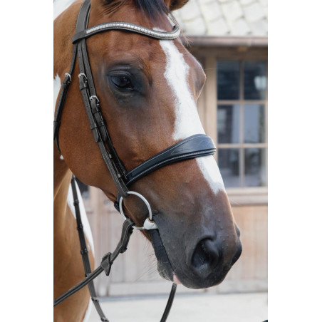 Muserola Anatômica sem Barbela Coleção US Jumping Dy'on