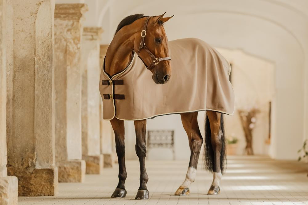 Camisa show secante lã vegana Kentucky Bege Camisa show secante lã vegana Kentucky Bege