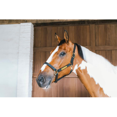 Caveção de couro Wellington Kentucky