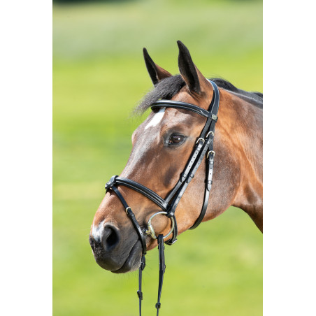 Bridão anatômico HFI