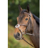 Bridon Mexican HFI - Castanho