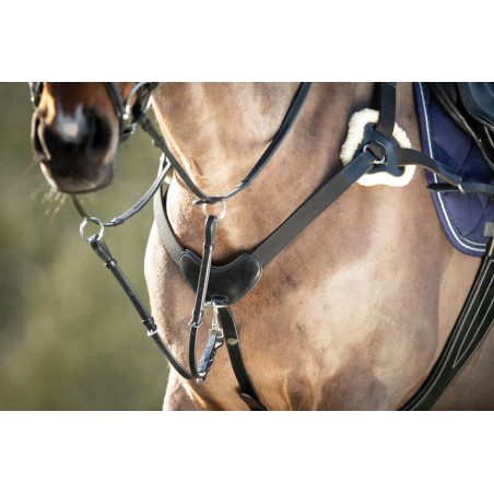 Peitoral de 5 pontos HFI