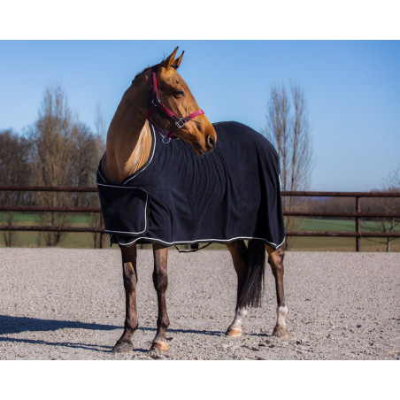 Cobertura de Lã Show HFI