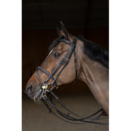 Bridão de salto HFI Master duplo salto