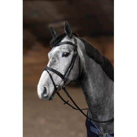 Kombiniertes Trensenzaum Painted HFI Master