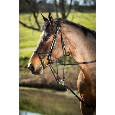 Gogue de couro HFI Master