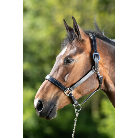 Cabeçada de couro HFI Master couro duplo ajuste