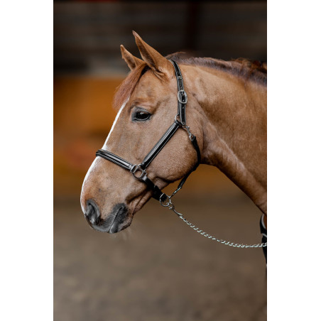 Caveção de couro Little Groom HFI Master