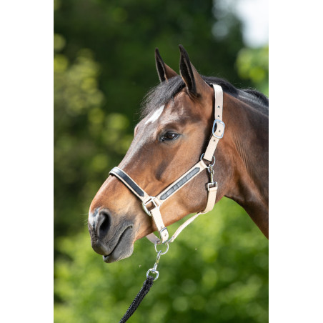 Cabresto First nylon HFI Master