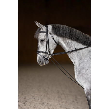 Rendas alemãs HFI Master couro corda