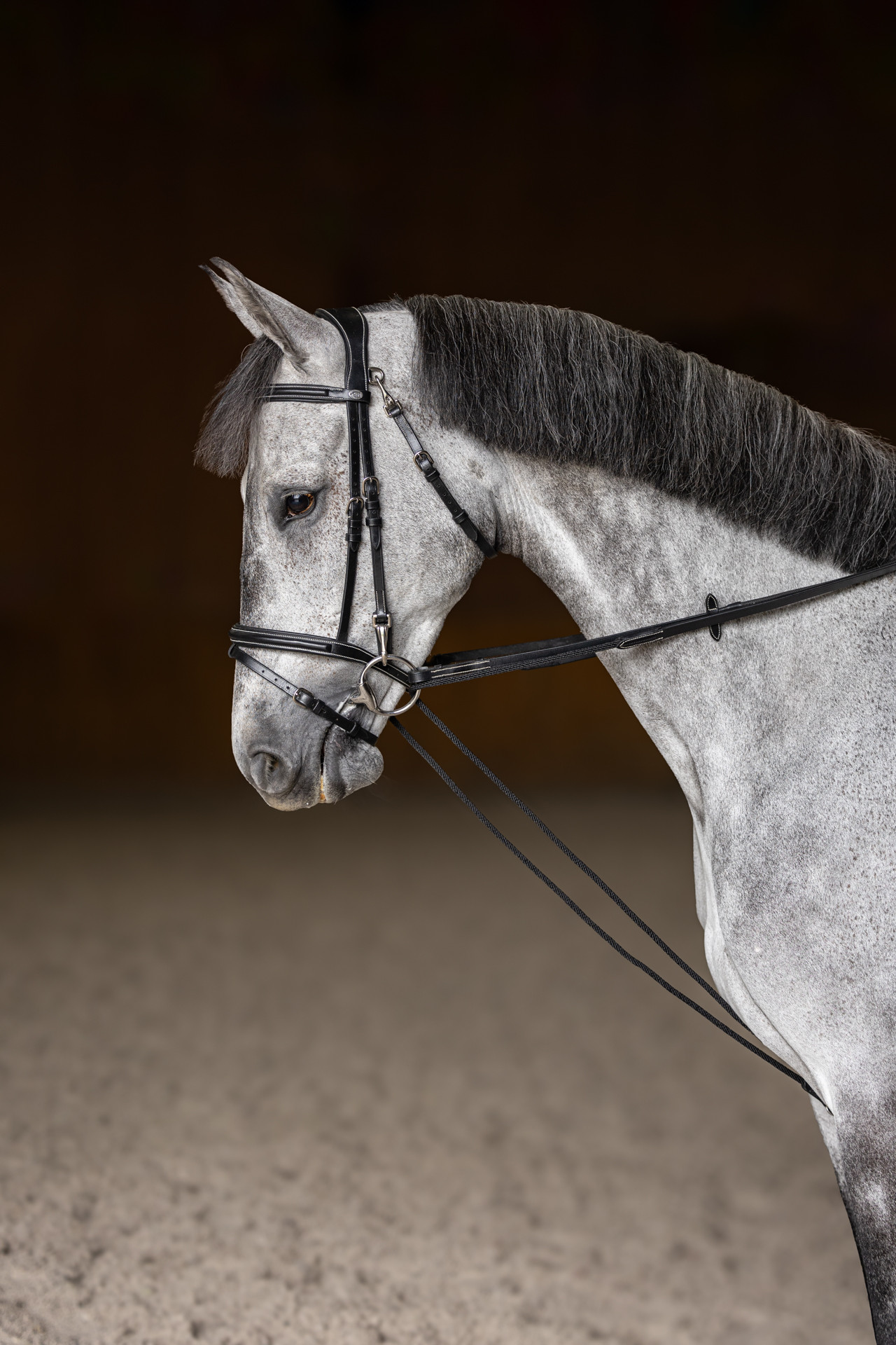 Rendas alemãs HFI Master couro corda Preto Rendas alemãs HFI Master couro corda Preto