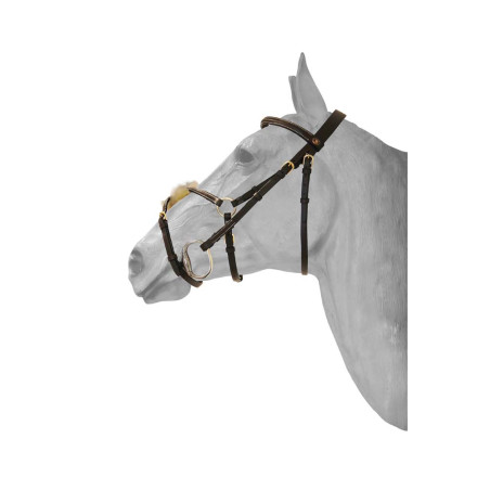 Bridão HFI focinheira mexicana pespontada