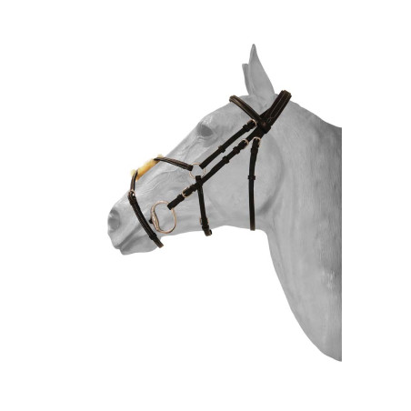 Bridão HFI focinheira mexicana Diamond