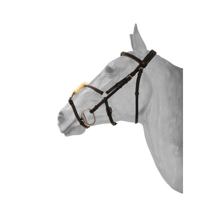 Caveção com muserola mexicana HFI