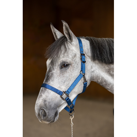 Cabeçada de nylon HFI Master