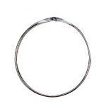 Anel de apresentação