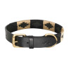 Coleira para cão HV Polo Chaya - Preto / dourado