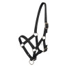 Cabresto para potro HV Polo Nena - Preto