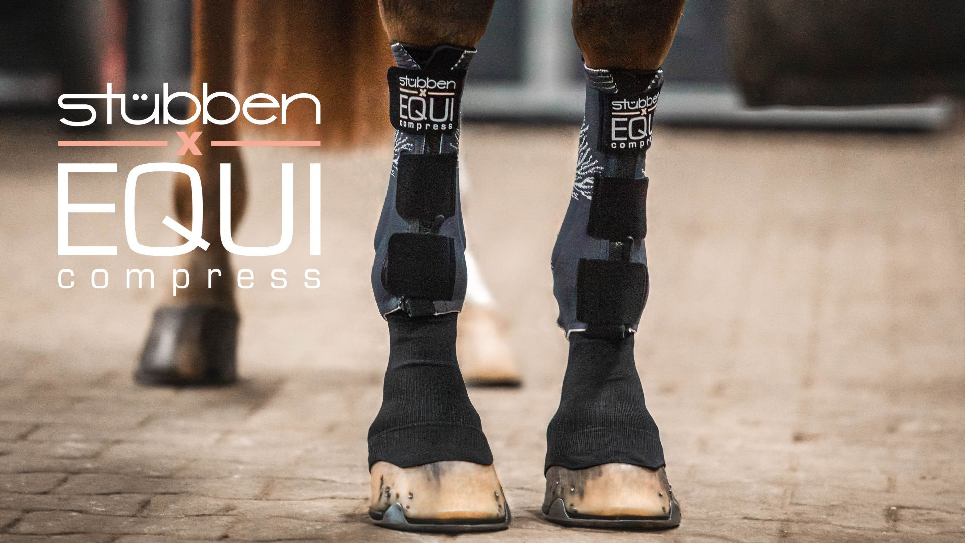 Meias Stübben Equi Compress