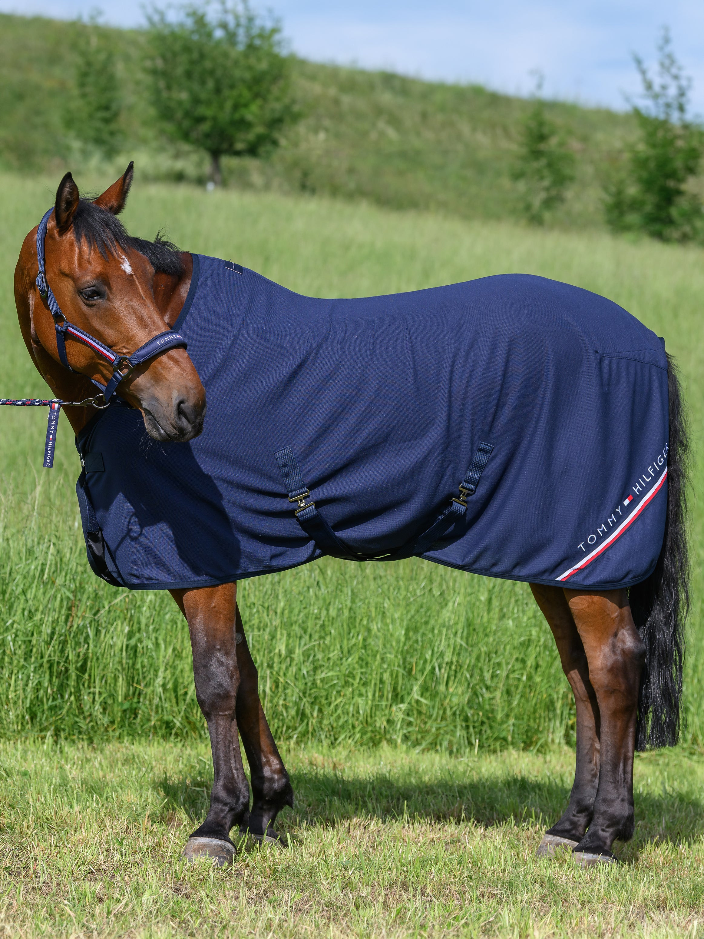 Capa secante Tommy Hilfiger Equestrian em relevo Azul-marinho