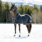 Cobertor Theo Thermo B Vertigo