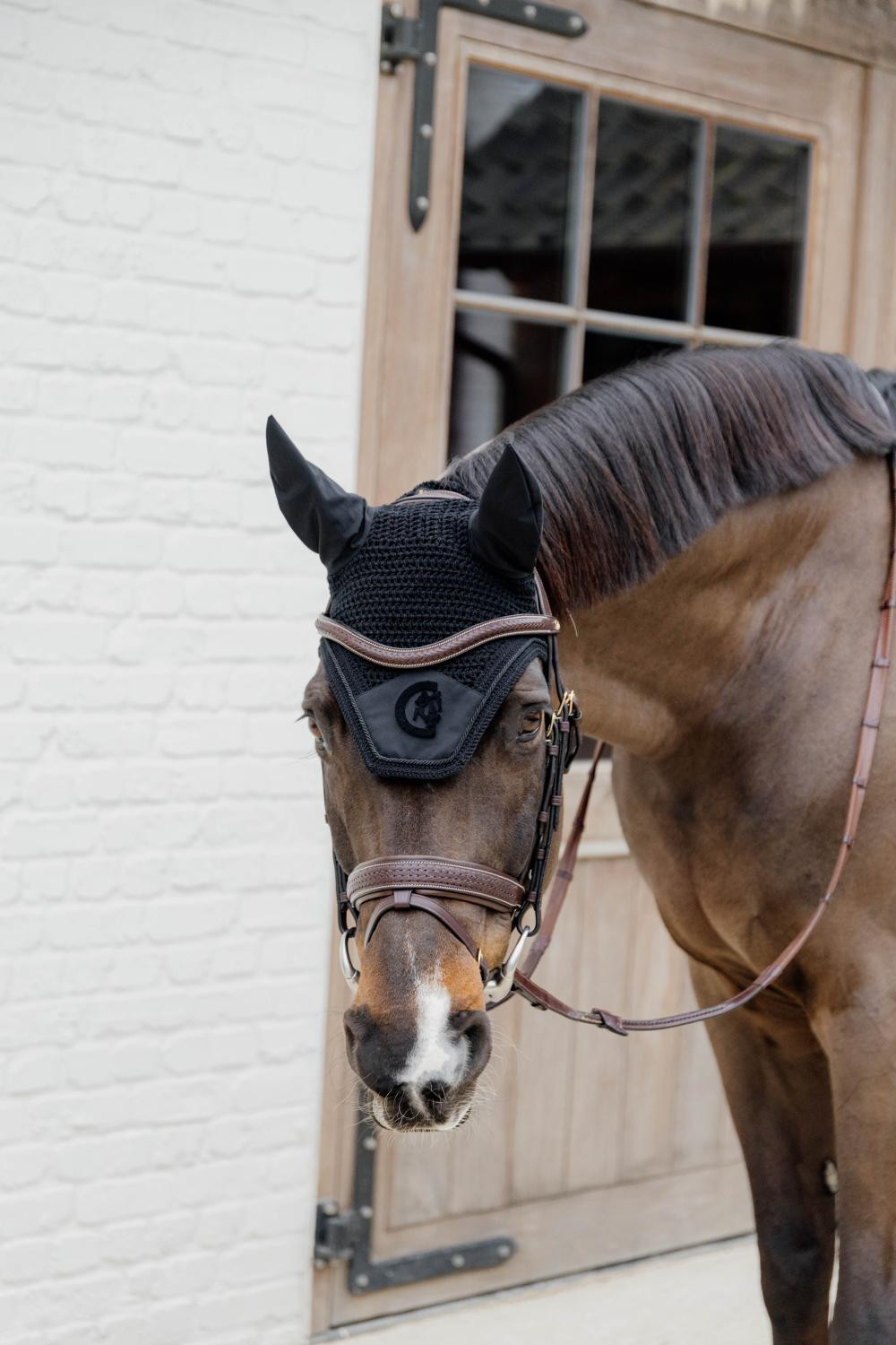 Bridão Dy'on D collection focinheira combinada trançada com Pull Back Castanho