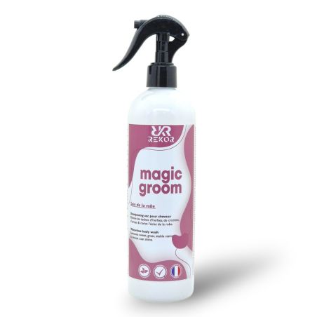 Shampoo seco Rekor Magic Groom
