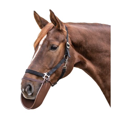 Protetor de boca Waldhausen