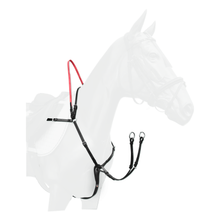 Bricole Waldhausen rédeas de segurança Secutrust