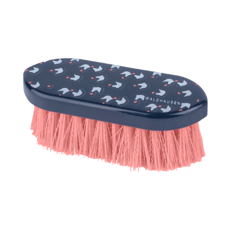 Escova de piaçava Waldhausen Lucky