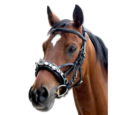 Caveção de couro Waldhausen