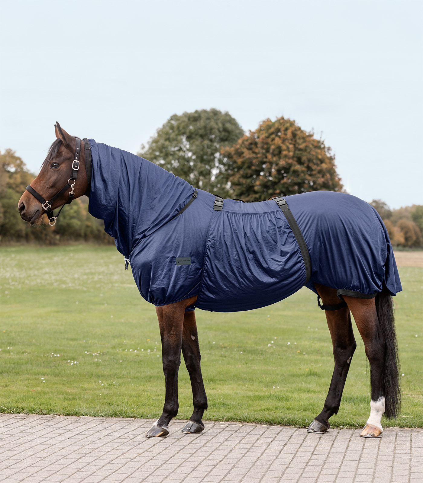 Cobertura anti-eczema Waldhausen Basic Azul noturno Cobertura anti-eczema Waldhausen Basic Azul noturno