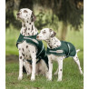 Capa de chuva Waldhausen para cão - Verde pinho
