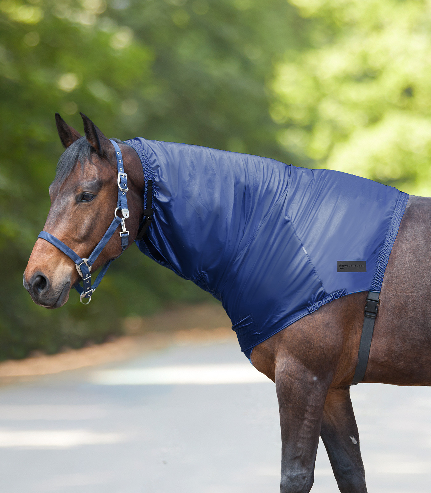 Protetor de pescoço anti-eczema Waldhausen Azul noturno