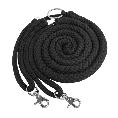 Enrênamento especial Waldhausen