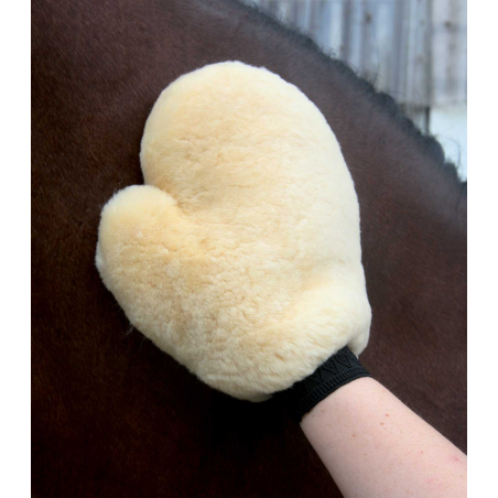 Luvas de Carneiro Waldhausen