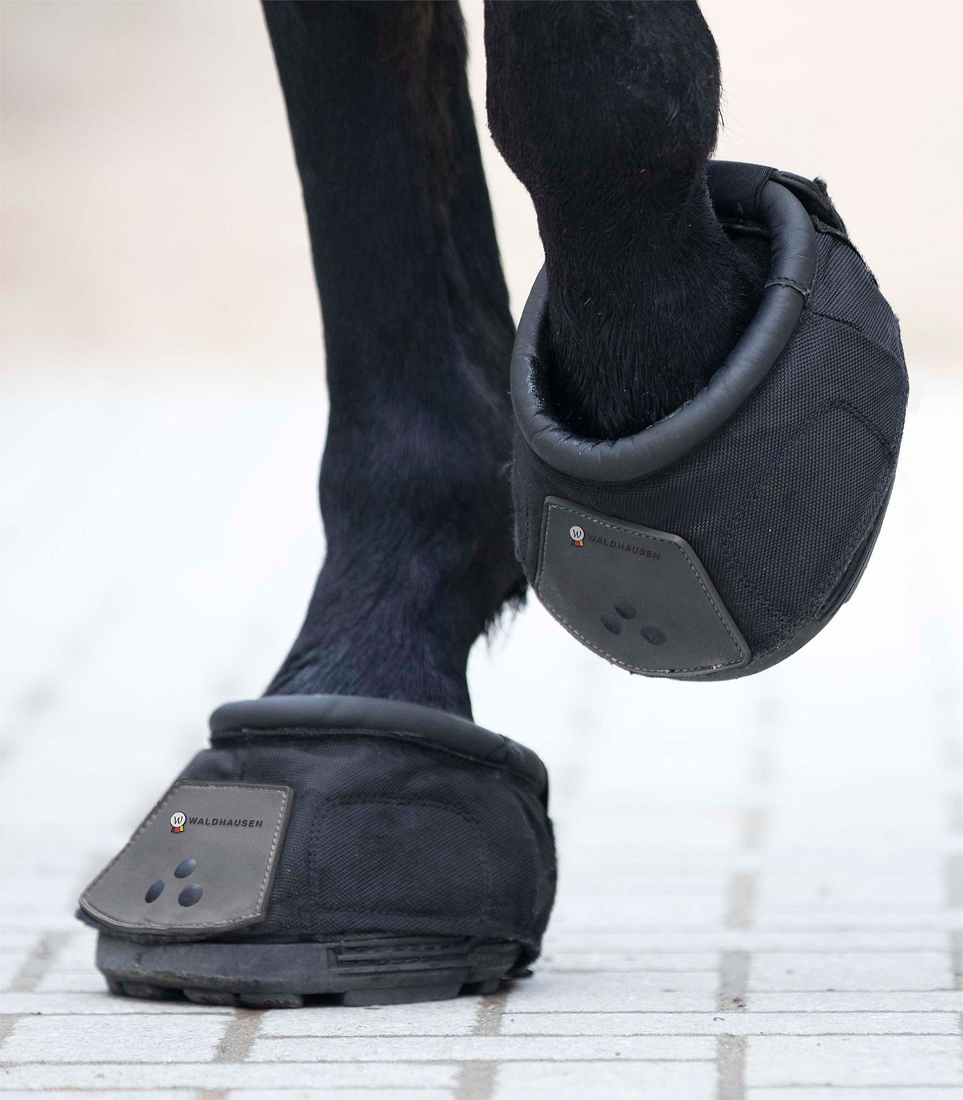 Hipossanda Waldhausen unidade Preto