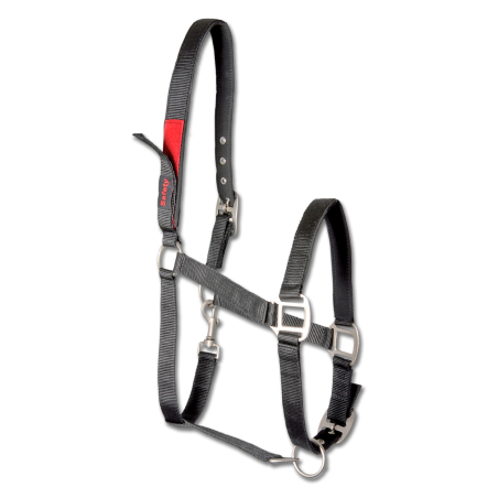 Cabresto de segurança Waldhausen