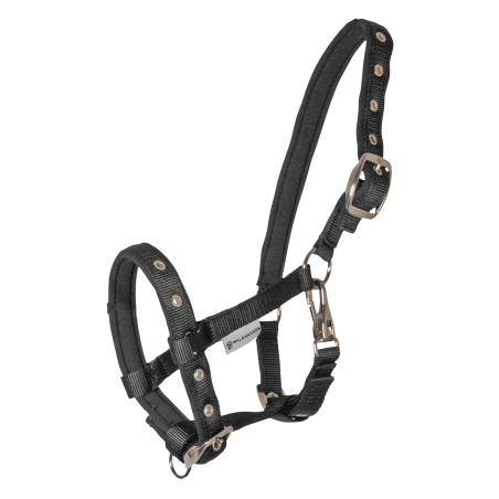 Cabresto Potro Waldhausen Conforto