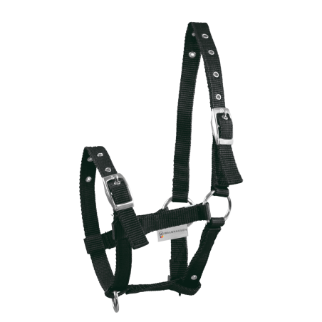 Cabeção para Poldro Waldhausen Triple