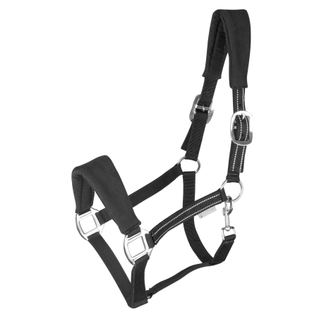 Caveção Waldhausen Alcantara